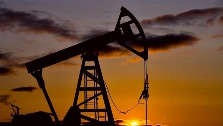 OPEC’in petrol üretimi ekimde günlük 466 bin varil arttı