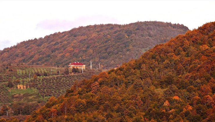 Sonbaharın Renk Cümbüşü: Nebiyan Dağı