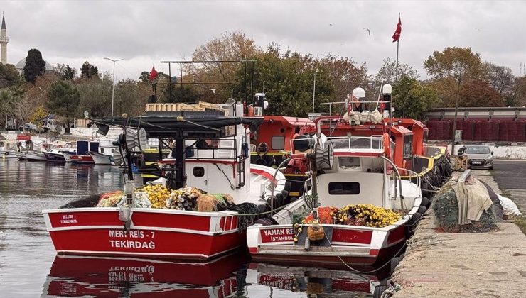 Tekirdağlı balıkçılar hamsi ve istavrit umuduyla Karadeniz’e gidecek