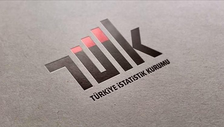 TÜİK, “grid” detayında eğitim istatistiklerini paylaşıma açtı