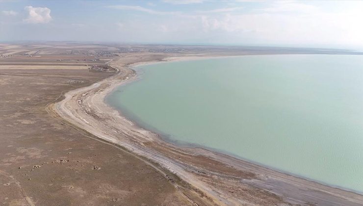 Van Gölü Aktivistleri Derneği’nden Çevre için Anlamlı Yürüyüş