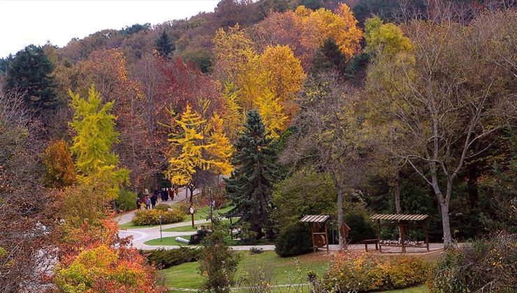 DMM, “Belgrad Ormanı imara açılıyor” iddiasının doğru olmadığını bildirdi