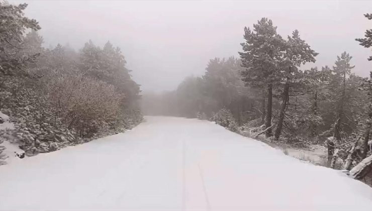 Kazdağı Milli Parkı beyaza büründü