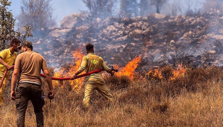 Orman yangınına neden olma suçuna 10 yıla kadar hapis istemi