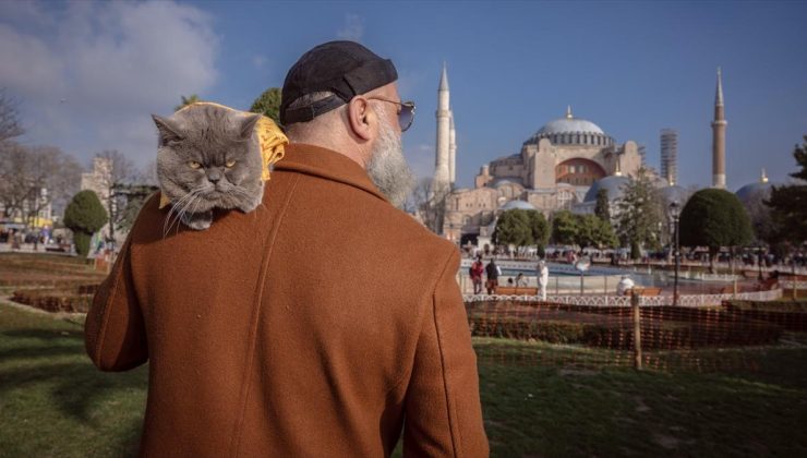 Sahibinin omzunda taşıyarak gezdirdiği kedi adeta İstanbul’un seyyahı oldu