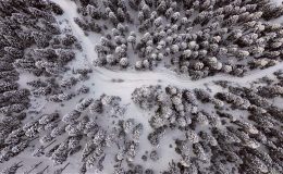 Anadolu’nun yüce dağı Ilgaz doğa tutkunlarını cezbediyor