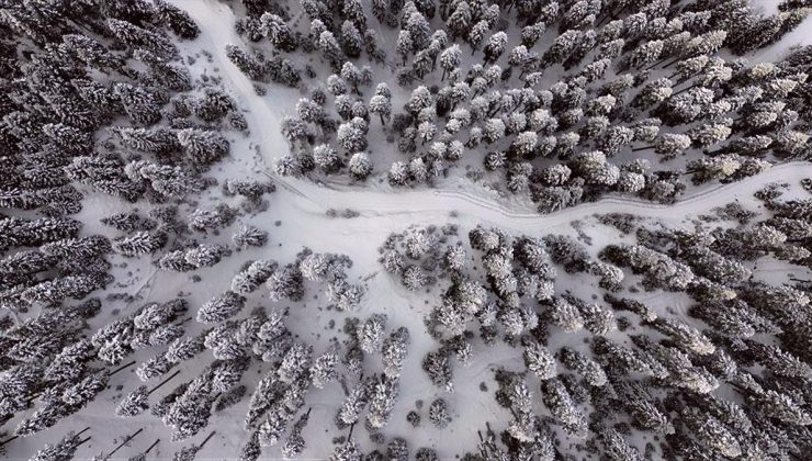 Anadolu’nun yüce dağı Ilgaz doğa tutkunlarını cezbediyor