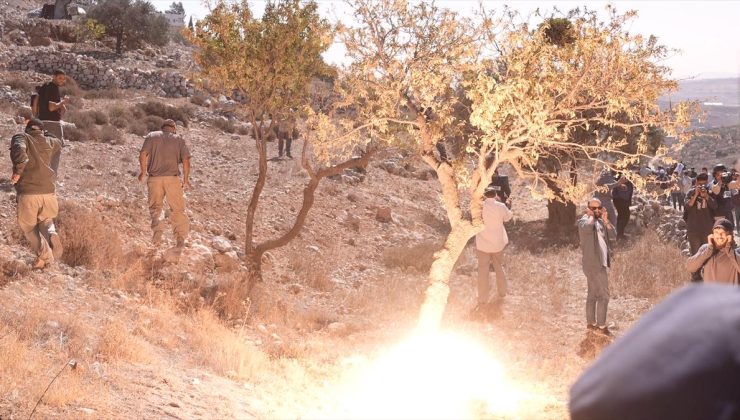 Filistin topraklarını gasbeden İsrailliler, Batı Şeria’da Filistinlilerin zeytin ve elma ağaçlarını söktüler