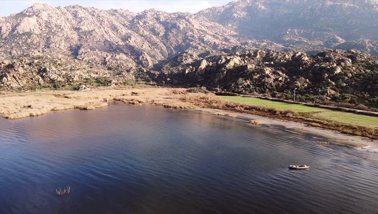 Muğla ve çevresindeki yağış bereketi Bafa Gölü’ne nefes aldırdı